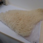 pâte de peau de mouton